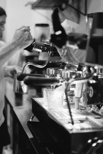 capresso grinder manual