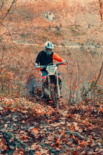 dirt bike size guide
