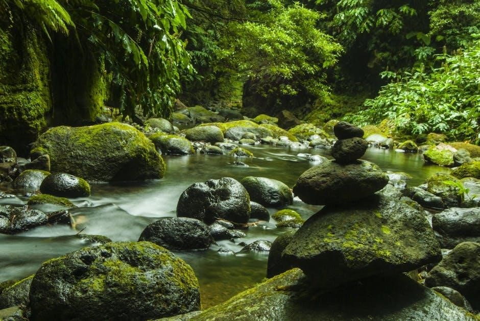 partitura river flows in you pdf