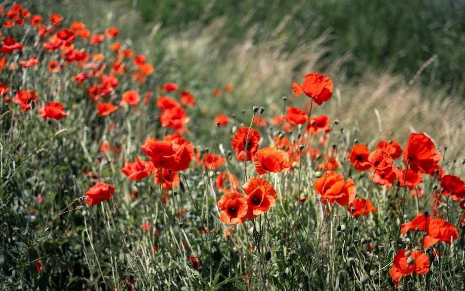 mustard seed garden manual of painting