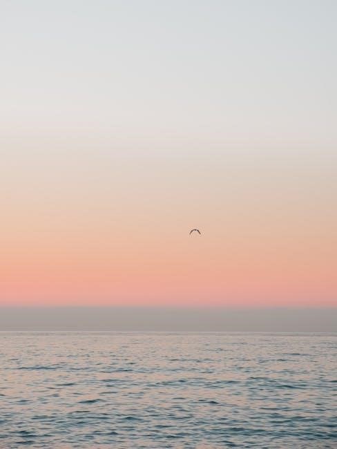 bird box barcelona parents guide
