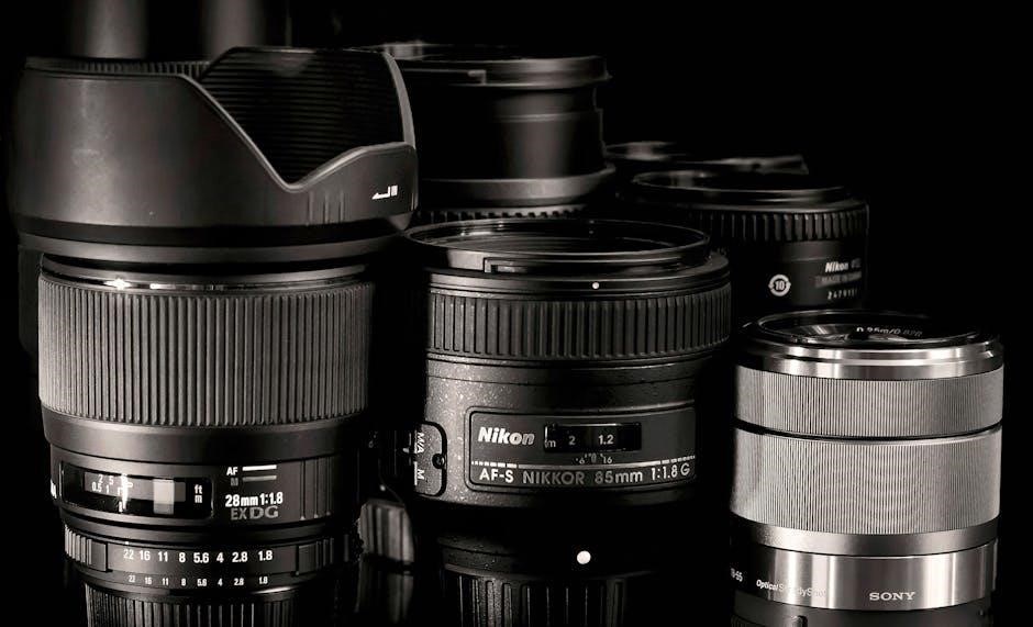 nikon coolpix p900 instruction manual