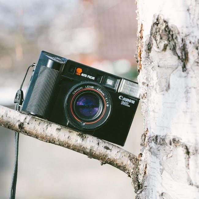 zoom r4 manual